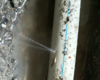 云龙卫生间测漏水多少钱